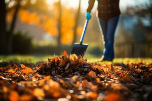 la personne râteaux feuilles pendant le l'automne saison pour nettoyer yards photo