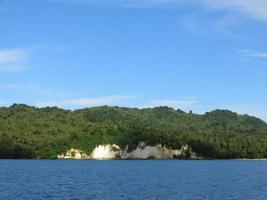 la nature du détroit de Lembeh. photo