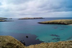 Les phoques à la plage des îles Shetland photo