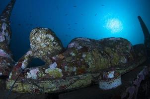 récif artificiel sous-marin à bali. photo