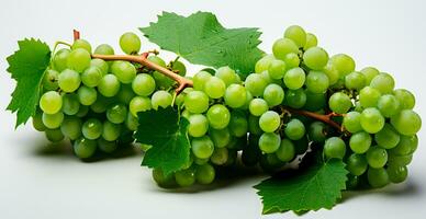 lumière les raisins sur une blanc arrière-plan, vigne - ai généré image photo