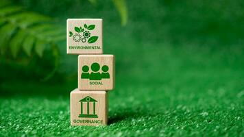 esg concept pour environnement, société et la gouvernance dans durable. affaires responsable environnemental. photo