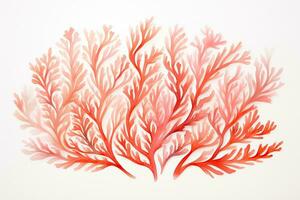 illustration de corail algues sur blanc arrière-plan, vecteur illustration, vivant corail aquarelle illustration sur blanc papier texture, ai généré photo