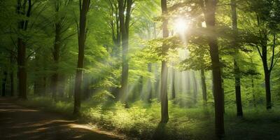 magnifique des rayons de lumière du soleil dans une vert forêt. génératif ai photo