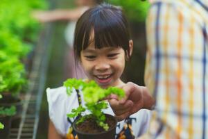 mignonne fille portion sa mère prendre se soucier de le les plantes. mère enseigne fille Comment à grandir les plantes dans des pots dans serre. famille petit entreprise. photo