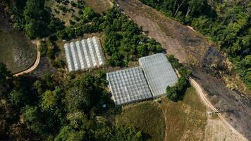 aérien vue de une fleur garderie dans le campagne. Haut vue de drone de industriel moderne serre. photo