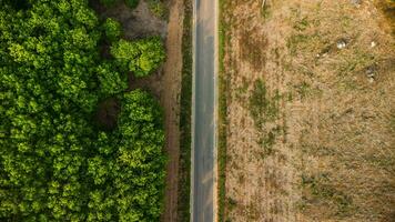 aérien vue de une route cette coupes par une luxuriant forêt, sur le autre côté est un zone détruit par humains pour cultivation de Montagne cultures. zones avec dense smog et couvert avec pm2.5. air la pollution photo