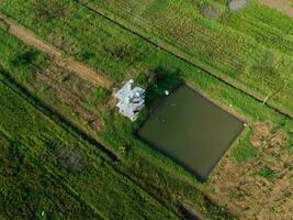 vue aérienne des étangs pour l'agriculture dans les zones rurales. étang pour l'agriculture globale. concept d'économie de suffisance photo