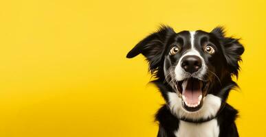 une chien avec une choquant visage dans de face de une Jaune arrière-plan, une chien avec ses bouche ouvrir, génératif ai photo