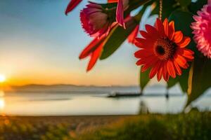 fleurs sur le plage, coucher de soleil, le mer, fleurs, le plage, HD fond d'écran. généré par ai photo