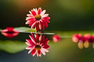 une fleur est réfléchi dans le l'eau. généré par ai photo