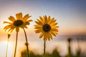 tournesols dans le Soleil. généré par ai photo