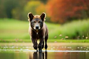 australien bétail chien, une chien race originaire de à Australie. généré par ai photo