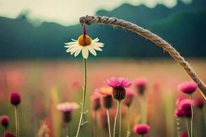 une Marguerite est pendaison de une corde dans une champ. généré par ai photo