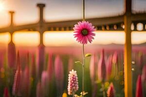 une rose fleur est dans de face de une pont. généré par ai photo