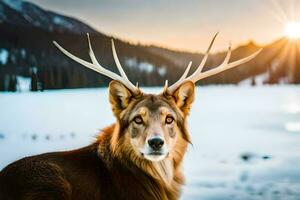 une cerf avec bois dans le neige. généré par ai photo