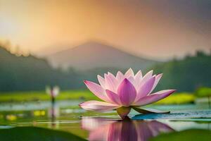 une rose lotus fleur dans le l'eau à le coucher du soleil. généré par ai photo