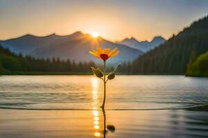 une Célibataire fleur est permanent dans le milieu de une Lac à le coucher du soleil. généré par ai photo