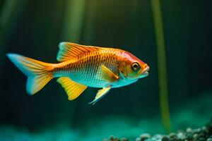 une poisson rouge nager dans un aquarium. généré par ai photo