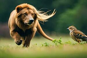 une Lion et une oiseau marcher dans le herbe. généré par ai photo