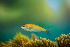 une petit poisson nager dans le océan. généré par ai photo