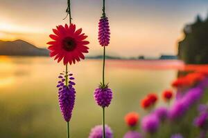 fleurs dans le jardin, violet, fleurs, le jardin, nature, HD fond d'écran. généré par ai photo