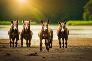 quatre les chevaux permanent dans le le sable à le coucher du soleil. généré par ai photo