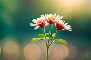 deux marguerites sont permanent dans de face de une vert Contexte. généré par ai photo