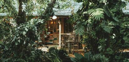 petit en bois chalet caché dans sauvage Profond tropical vert forêt ancien large pour vivant dans la nature bannière concept photo