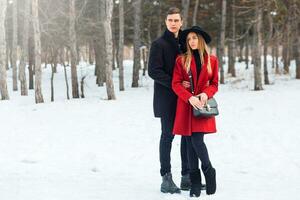 Extérieur hiver portrait de à la mode content Jeune couple dans l'amour séance sur Journal et étreindre contre blanc parc Contexte . photo