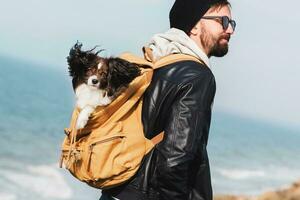 Voyage branché homme avec chien duveteux race papillon dans sac à dos. Beau Humain avec barbe et chapeau en marchant près côte, mer Contexte . photo