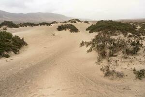 le sable dunes dans lanzarote photo