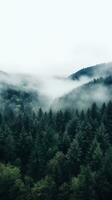 une Haut vue de une forêt avec une blanc brouillard roulant plus de le la cime des arbres. photo