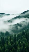 une haute angle coup de une forêt avec une blanc brouillard couvrant photo