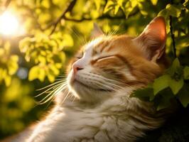 serein chat repos sur une arbre branche entouré par luxuriant feuillage ai génératif photo