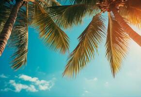 ai généré bleu ciel et paume des arbres vue de dessous, ancien style, tropical plage et été arrière-plan, Voyage concept réaliste image photo