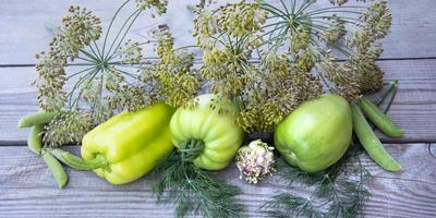 Les parapluies de poivron, de tomate verte et d'aneth se trouvent dans une rangée photo