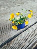 fleurs sauvages fraîches jaunes dans un vase en céramique bleu, sur fond de véranda en bois. nature morte de style rustique. vue rapprochée. printemps ou été dans le jardin, concept de mode de vie à la campagne. espace de copie photo