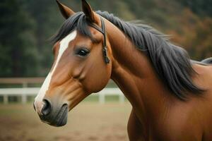 proche en haut cheval sur floue Contexte. ai génératif pro photo