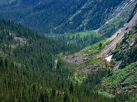 une grand forêt zone dans une Montagne vallée. Montagne forêt terres, nationale réserve. une Montagne vallée avec un à feuilles persistantes forêt. photo