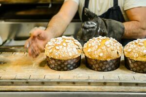 Pâtisserie boulanger artisan cuisson petit groupe de italien panettone sucré pain typique pour Noël temps photo