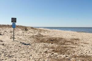 signalisation publié sur le plage. cette bleu métal signe ici à garder gens de le dunes et protéger le faune. le vert le sable dunes tout autour dans le marron sable. le océan vu dans le distance. photo