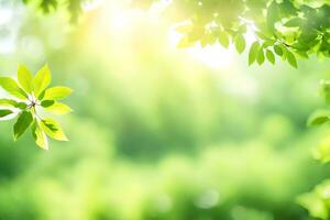 vert feuilles sur une ensoleillé journée. généré par ai photo