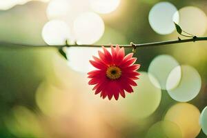 une rouge fleur est sur une branche avec une floue Contexte. généré par ai photo