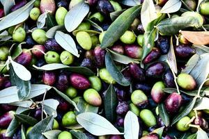 Olives sont empilé en haut dans une pile avec feuilles photo