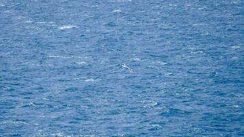 mer avec petit vagues photo