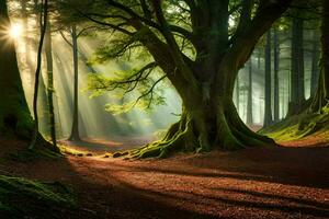 le Soleil brille par le des arbres dans une forêt. généré par ai photo