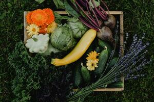 Frais biologique des légumes dans une en bois boîte sur le herbe, Haut vue photo