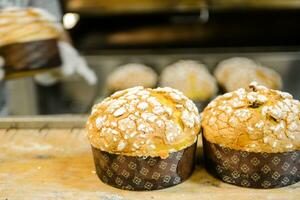 Pâtisserie boulanger artisan cuisson petit groupe de italien panettone sucré pain typique pour Noël temps photo