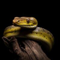 fermer studio portrait de arbre serpent, génératif ai photo